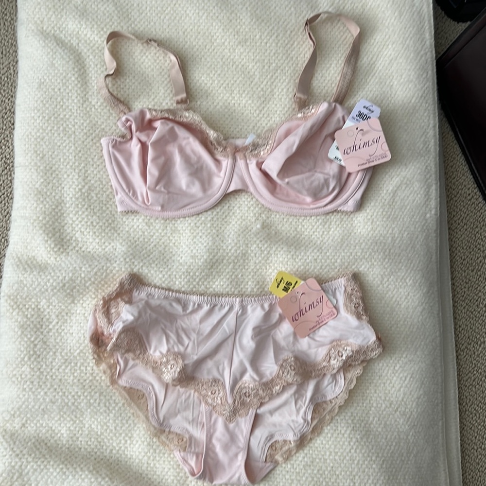NWT bra and panty set
